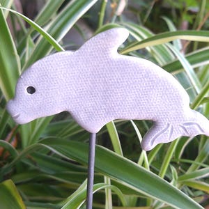 May include: A light gray dolphin garden stake with a textured surface. The dolphin has a black eye and is mounted on a dark metal rod. The stake is surrounded by green and white striped plants.