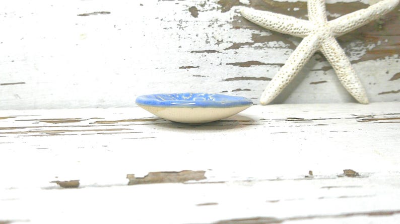 Peut inclure: Un petit plat en c&eacute;ramique avec un bord bleu clair et une base cr&egrave;me. Le plat ovale repose sur une surface en bois blanc vieilli. Une &eacute;toile de mer blanche est en arri&egrave;re-plan.