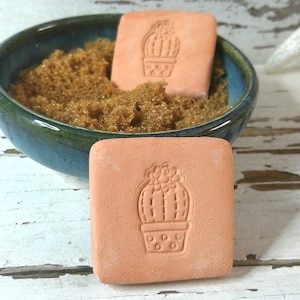 May include: Two square, terracotta-colored soap bars with a cactus design are displayed, one in front and one in a blue and green bowl filled with brown granules. The bowl sits on a distressed white wooden surface.