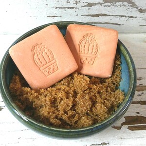 May include: A small, round, blue and green bowl filled with brown sugar and two square, peach-colored soaps. Each soap has a cactus design. The bowl sits on a white, distressed wooden surface.