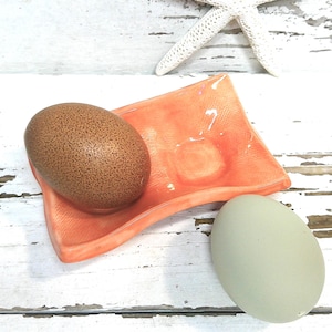 May include: A brown speckled egg rests on a coral-colored ceramic dish, with a second pale green egg nearby. A white starfish is in the background. The objects are on a distressed white wooden surface, creating a coastal theme.