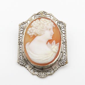 May include: Oval cameo brooch featuring a profile of a woman with flowers in her hair and a draped garment. The cameo is set in a decorative, openwork silver-toned frame. The cameo has a peach background and the woman is white.