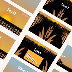 May include: A collection of presentation slides featuring a wheat field theme with black, orange, and blue gradients. The slides contain text elements including "Text1", "Introduction", "Text3", "Text", "Other text", and "Stuff1", alongside wheat graphics.