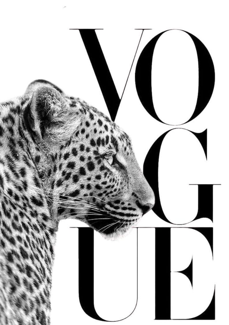 May include: A black and white graphic print featuring a profile view of a leopard with its head turned to the right. The large, bold, black capital letters V, O, G, U, E are layered behind the leopard, partially obscuring the animal's neck and body.