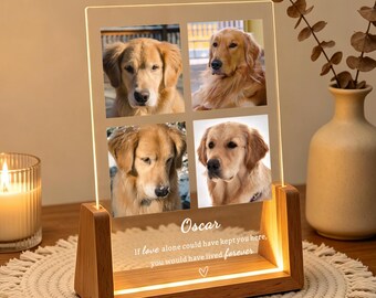 Personalized Pet Memorial Night Light, Custom Photo Dog Cat Lamp, Dog Remembrance Gift, Pet Loss Sympathy Gift, Rainbow Bridge Gift