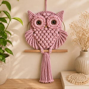 Pode incluir: Uma tapeçaria de parede em macramé cor-de-rosa empoeirado em forma de coruja, com padrões de nós intrincados, dois grandes olhos circulares com centros escuros e uma longa borla pendurada num poleiro de madeira horizontal.