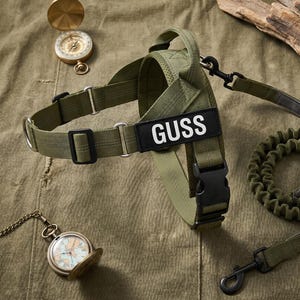 May include: An olive green tactical dog harness with a black patch featuring the white text GUSS, paired with a matching olive green bungee leash. The harness includes adjustable black plastic buckles and metal D-rings for secure attachment.