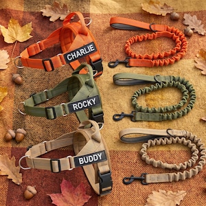 May include: Three dog harnesses and three matching leashes in orange, olive green, and tan. Each harness features a black rectangular patch with the white text CHARLIE, ROCKY, or BUDDY. The leashes have a bungee-style section and a metal clip.
