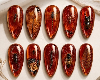 Handmade Fossil Press On Nails, Burgundy Amber Insect Nails, Entomology Nail Art, Spider Scorpion Beetle Nails, Gothic Nature Nails