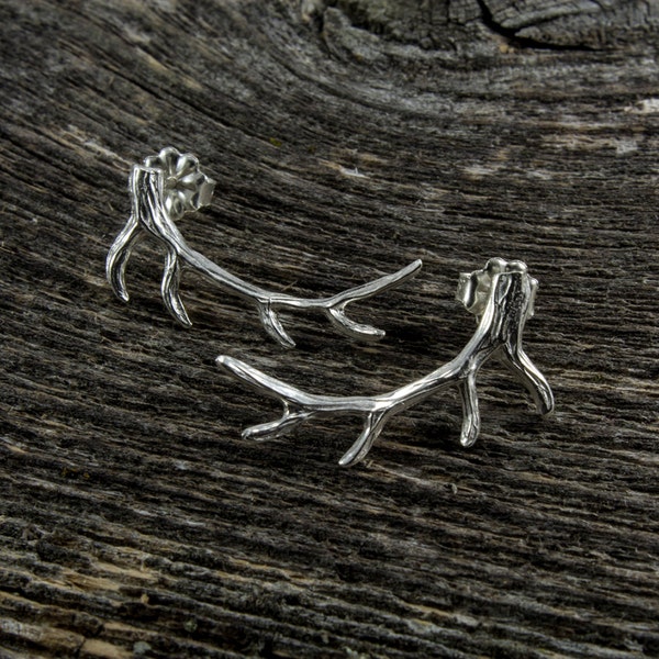 Elk Antler Studs