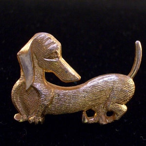 Animals Dashing Dog Lovers Such a Sweet Treat Collectible Gift .....AHHHH