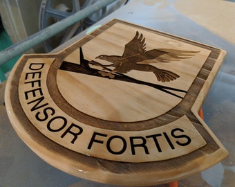 Defensor Fortis Security Forces USAF going away plaque