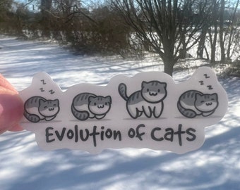 Evolution of Cats Sticker