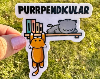 Math Funny Cute Cat Sticker