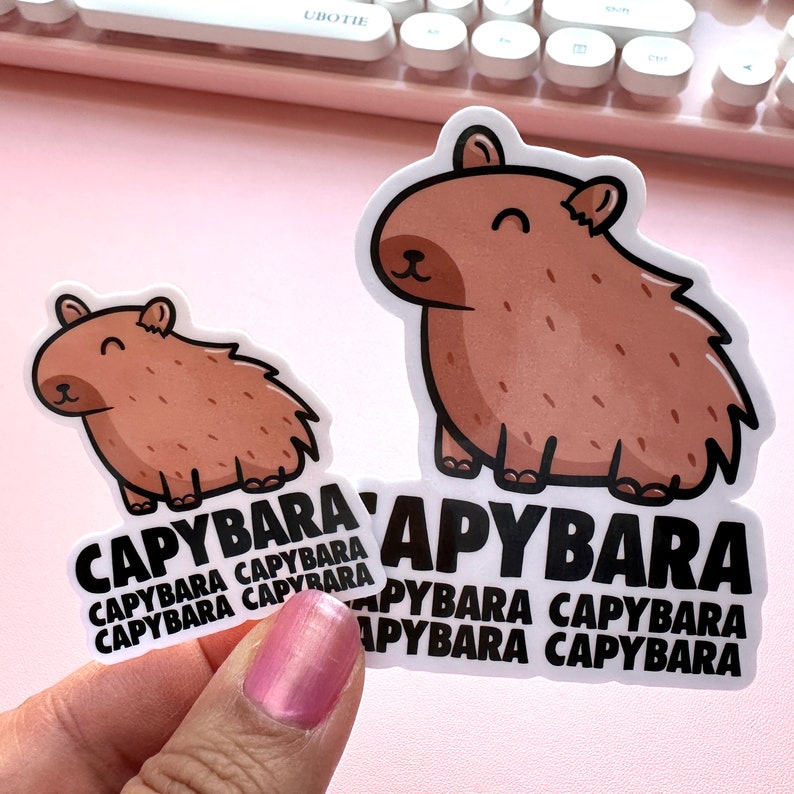 Pode incluir: Dois adesivos de capivara marrons com contornos pretos. O adesivo maior tem a palavra "CAPYBARA" repetida quatro vezes em texto preto. O adesivo menor tem a palavra "CAPYBARA" repetida quatro vezes em texto preto.