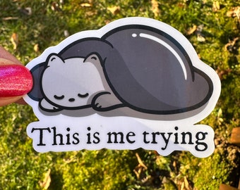 Funny Sleeping Cat Sticker