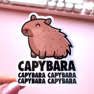 Pode incluir: Um adesivo branco com uma ilustra&ccedil;&atilde;o de desenho animado de um capivara marrom. O adesivo tem a palavra "CAPYBARA" impressa em letras pretas no topo e a palavra "CAPYBARA" repetida quatro vezes em uma fonte menor abaixo.