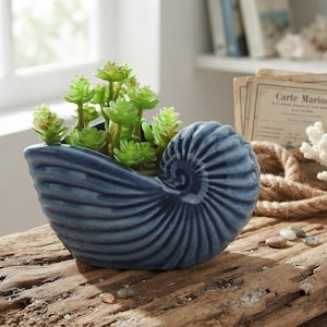 Nautilus Shell Planter, Blue Ceramic Succulent Pot, Coastal Beach House Decor