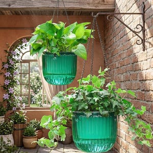 May include: Two emerald green, vertically ribbed glass hanging planters suspended by metal chains. Each planter holds a lush green plant, with one containing a pothos and the other an ivy, both attached to a dark metal wall-mounted bracket.