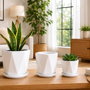 May include: A set of three white ceramic planters with a geometric faceted design, each featuring a matching circular saucer. The planters are arranged in descending order of size, with the largest containing a tall snake plant and the smallest a succulent.