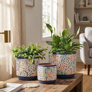 May include: Three cylindrical ceramic planters with a dark blue base and a repeating circular pattern in white, green, and orange. The planters vary in size, with two containing green leafy plants, one of which has a white peace lily flower.