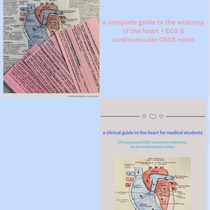 Heart Anatomy, ECG & OSCE Bundle | Medical Student Revision Notes (PDF)