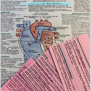 Heart Anatomy Study Guide | Medical School Revision Notes, MCQs, Diagrams (PDF)