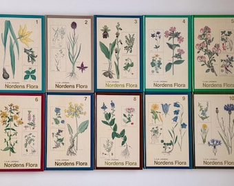 Nordens Flora 植物図鑑 C.A.M. Lindman　第7巻 Nordens Flora 植物図鑑 C.A.M. Lindman 第7巻 植物図鑑 Vol.1