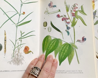 Nordens Flora Set of 10 Books - Etsy