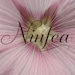NinfeaAtelier store logo