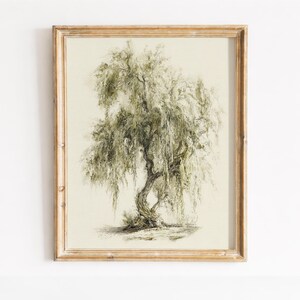 Puede incluir: Una lámina de arte enmarcada que presenta un boceto detallado a carboncillo y tinta de un sauce llorón. El árbol tiene un tronco retorcido y largas ramas colgantes con follaje verde suave, sobre un fondo neutro de color blanco roto.