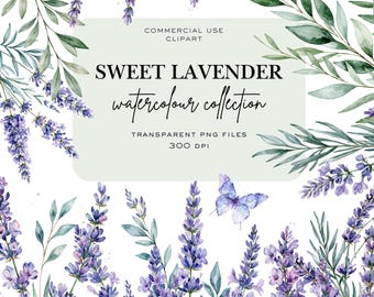 Pacote de Clipart de Lavanda Francesa em Aquarela, PNG de Lavanda, Clipart Floral Roxo, PNG Botânico Transparente, Uso Comercial, Casamento Roxo