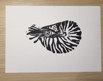 Nautilus-Linolschnitt
