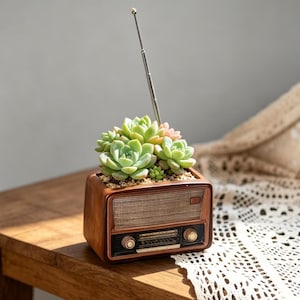 Op de afbeelding: Een bruine, rechthoekige plantenbak in de vorm van een vintage radio met een zilveren telescopische antenne. De bak bevat een groep lichtgroene en lichtroze vetplanten. De voorkant heeft een luidsprekerrooster en twee ronde knoppen.