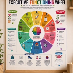 Op de afbeelding: Een wandposter getiteld Executive Functioning Wheel, met een centrale hersengrafiek omringd door tien genummerde segmenten die cognitieve vaardigheden beschrijven, met secties over het belang, uitdagingen en handige tips.