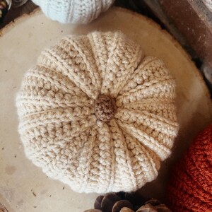 May include: A beige crocheted pumpkin with a brown center stem, featuring a ribbed texture created by yarn stitches. The pumpkin is round and displays a detailed knit pattern throughout its surface, showcasing a soft and textured appearance.