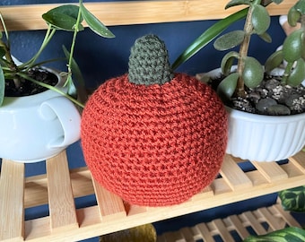 Easy Pumpkin Amigurumi Crochet Pattern: Fall Decor (Instant Download)