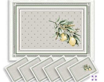 Jacquard Woven Placemats Menton Lemons Set 6 From Remember Provence France NWOT