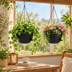 May include: Two matte black hanging planters suspended by metal chains. The left planter holds a lush green pothos plant, while the right planter contains a vibrant arrangement of pink and white flowers with trailing green foliage.