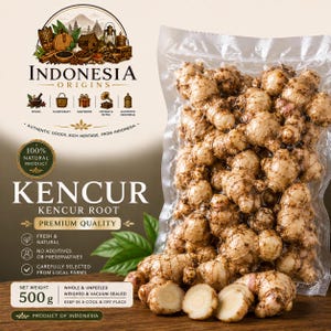 Può includere: Un sacchetto di plastica sottovuoto contenente 500 grammi di radice di kencur intera e non sbucciata. La confezione riporta il testo Indonesia Origins, Kencur, Kencur Root, Premium Quality, 100% Natural Product e Product of Indonesia con icone.