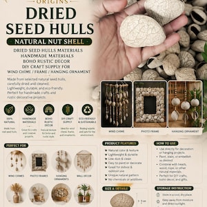 May include: Dried seed hulls with a natural beige colour and a cracked, textured surface. The product is labelled as Indonesia Origins Dried Seed Hulls, a natural nut shell material for crafts. A diagram shows dimensions of 3-5 cm by 4-6 cm.
