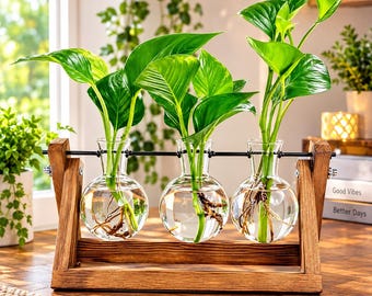 Plant Propagation Station with Wooden Stand, 3 Glass Vases, Indoor Plant Display, Hydroponic Plant Holder, Gift for Plant Lovers