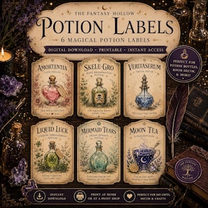 May include: A set of six rectangular potion labels with cream-coloured backgrounds and ornate borders. The labels feature illustrations of glass bottles and cups containing colourful liquids, labelled Amortentia, Skele-Gro, Veritaserum, Liquid Luck, Mermaid Tears, and Moon Tea, with decorative text and botanical accents.
