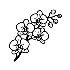 Puede incluir: Una ilustración de arte lineal en blanco y negro de una rama de orquídea con tres flores completamente abiertas y cuatro pequeños capullos sin abrir. El diseño utiliza contornos gruesos y limpios para definir los pétalos y las estructuras.