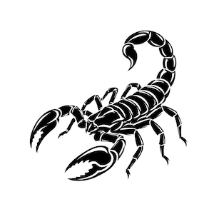 Scorpion SVG PNG, Tribal Silhouette, Zodiac Scorpio Cut File (Digital Download)