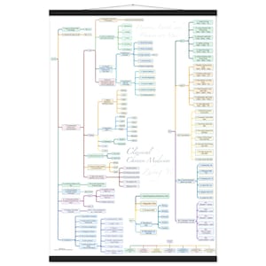 Puede incluir: Un cartel vertical para colgar en la pared titulado Classical Chinese Medicine Zhong Yi, que presenta un complejo diagrama de flujo multicolor sobre un fondo blanco. El gráfico utiliza líneas y cuadros para clasificar conceptos médicos, órganos y sistemas.