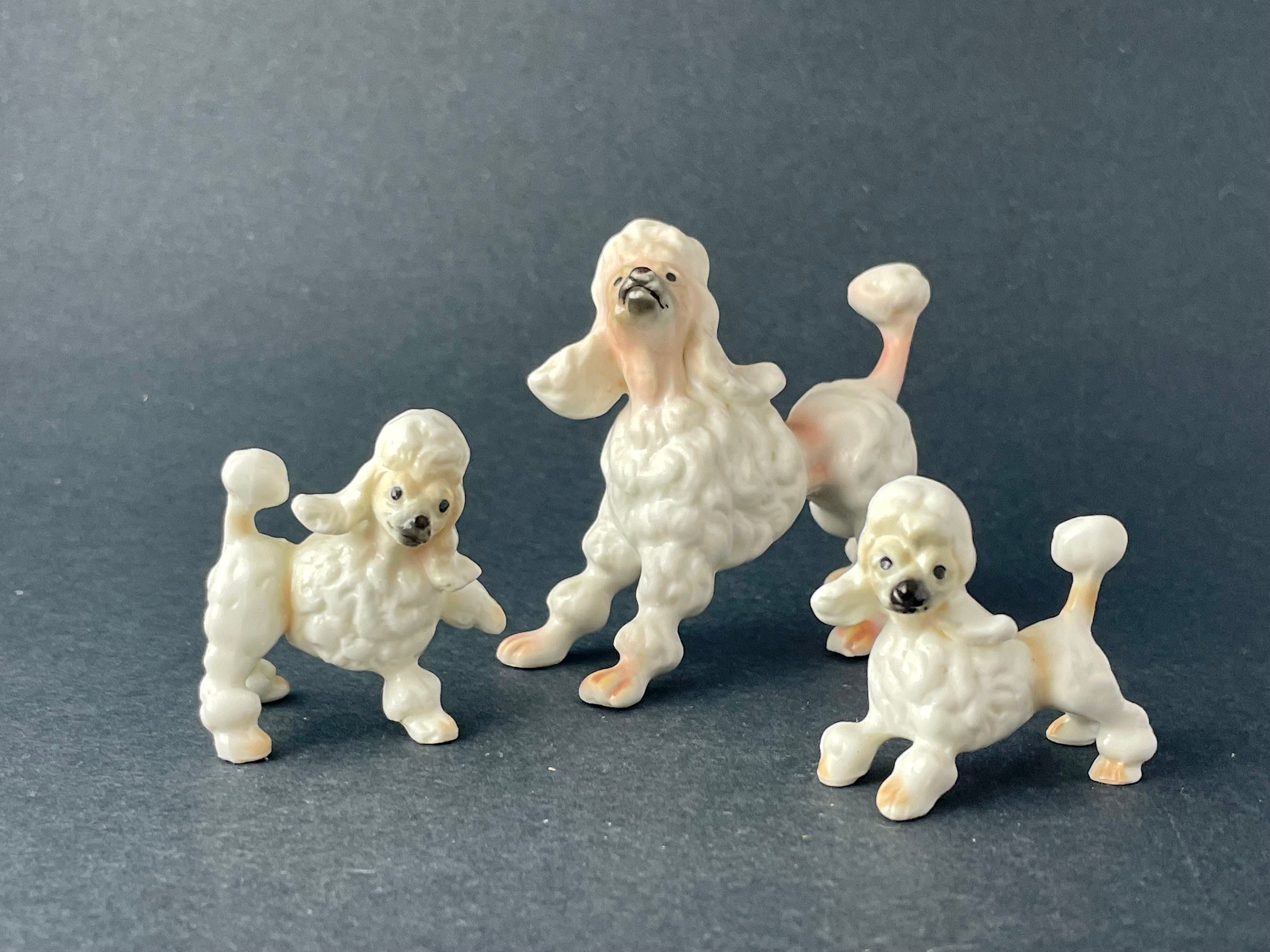 What Rhymes With Poodles