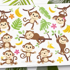 Monkeys Clipart: Safari Animals SVG, PNG, EPS (Digital Download)