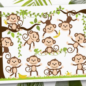 Monkey Clipart: Jungle Animals SVG, EPS, PNG (Digital Download) image 1