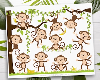 Monkey Clipart: Jungle Animals SVG, EPS, PNG (Digital Download)
